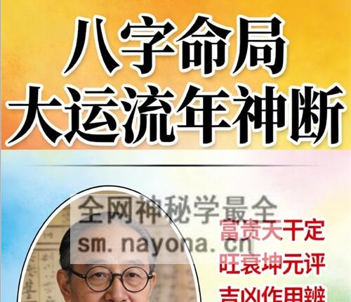 A2442王国亮 八字命局大运流年神断PDF电子书342页