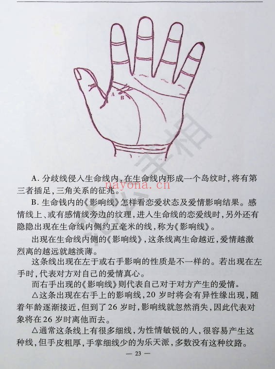 范炳檀范公手相254页PDF 手相教程