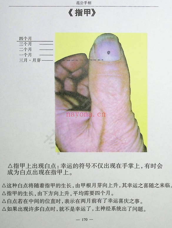 范炳檀范公手相254页PDF 手相教程