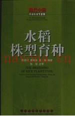 水稻株型育种