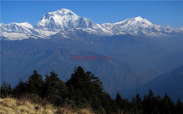 巴基斯坦南迦帕尔巴特峰(Nanga Parbat BC)徒步路线