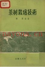 茶树栽培技术