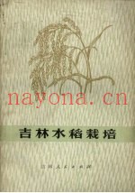 吉林水稻栽培