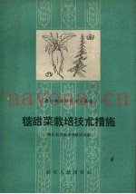 糖甜菜栽培技术措施