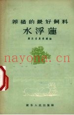 养猪的最好饲料-水浮莲