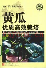 黄瓜优质高效栽培
