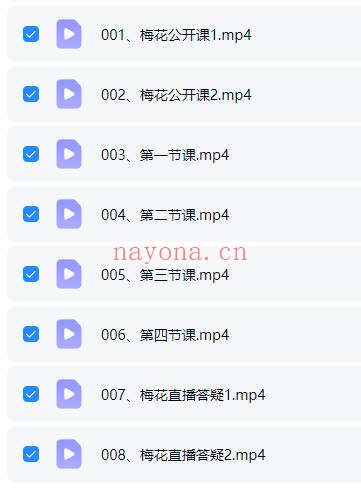 拾易谈2025梅花班8集视频 梅花易数