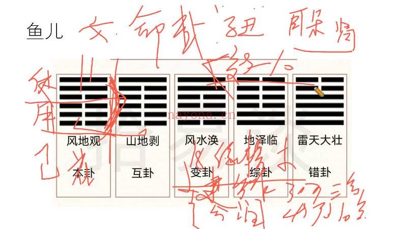 拾易谈2025梅花班8集视频 梅花易数