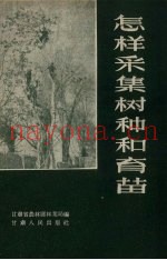 怎样采集树种和育苗