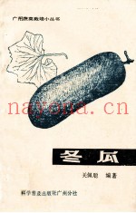冬瓜