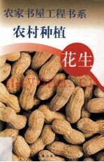 农村种植  花生
