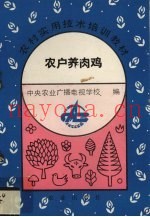农户养肉鸡