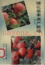 矮化苹果高产栽培