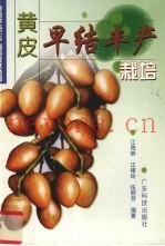 黄皮早结丰产栽培
