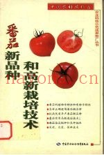 番茄新品种和高新栽培技术