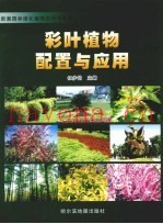 彩叶植物配置与应用