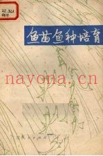 鱼苗
