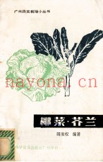 椰菜·芥兰