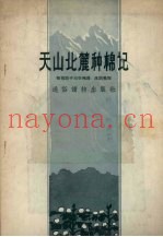 天山北麓种棉记