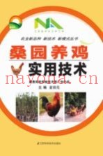 桑园养鸡实用技术