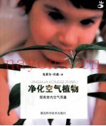 净化空气植物