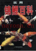实用锦鲤百科