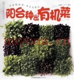 阳台种出有机菜