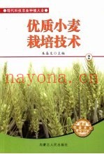 优质小麦栽培技术  2