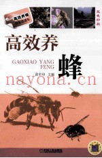 高效养蜂