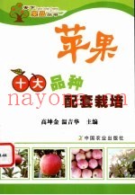 苹果十大品种配套栽培
