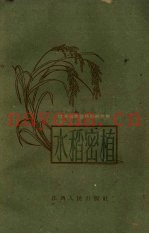 水稻密植