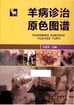 羊病诊治原色图谱