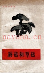 蘑菇和草菇