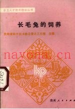 长毛兔的饲养