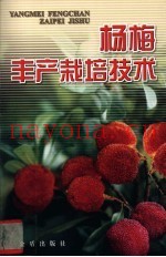 杨梅丰产栽培技术