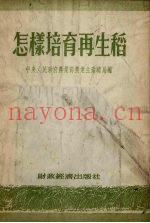 怎样培育再生稻