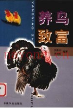 养鸟致富