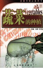 蔬菜的种植  1  萝卜胡萝卜