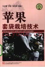 苹果套袋栽培技术