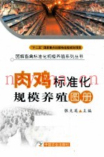 肉鸡标准化规模养殖图册