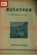 黄麻怎样育苗移栽