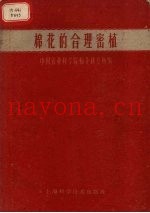 棉花的合理密植