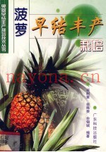 菠萝早结丰产栽培
