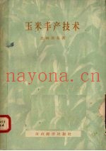 玉米丰产技术
