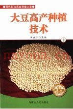 大豆高产种植技术  2