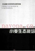 小麦生态栽培