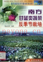 南方甘蓝类蔬菜反季节栽培