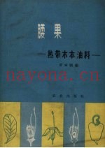腰果  热带木本油料