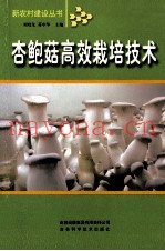 杏鲍菇高效栽培技术