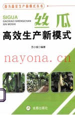 丝瓜高效生产新模式